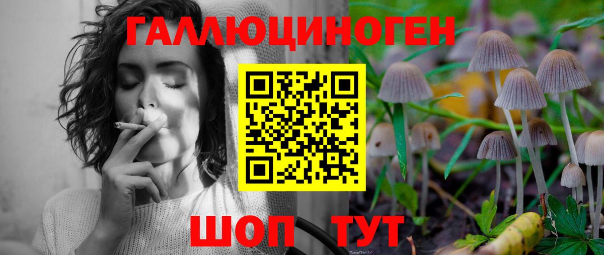 Псилоцибиновые грибы Psilocybine cubensis Сланцы