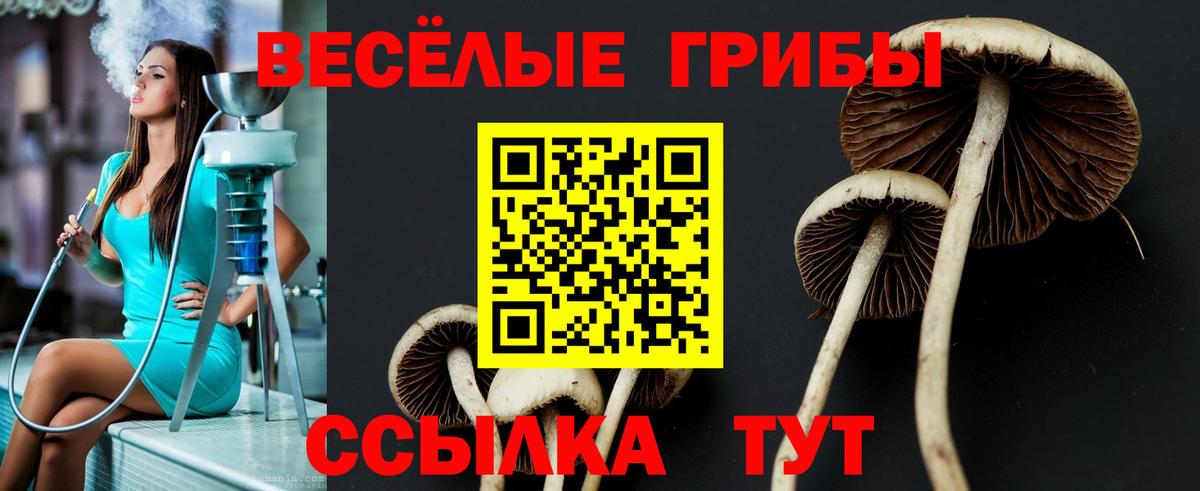 Сланцы  Галлюциногенные грибы Magic Shrooms  магазин    Вход с VPN 
